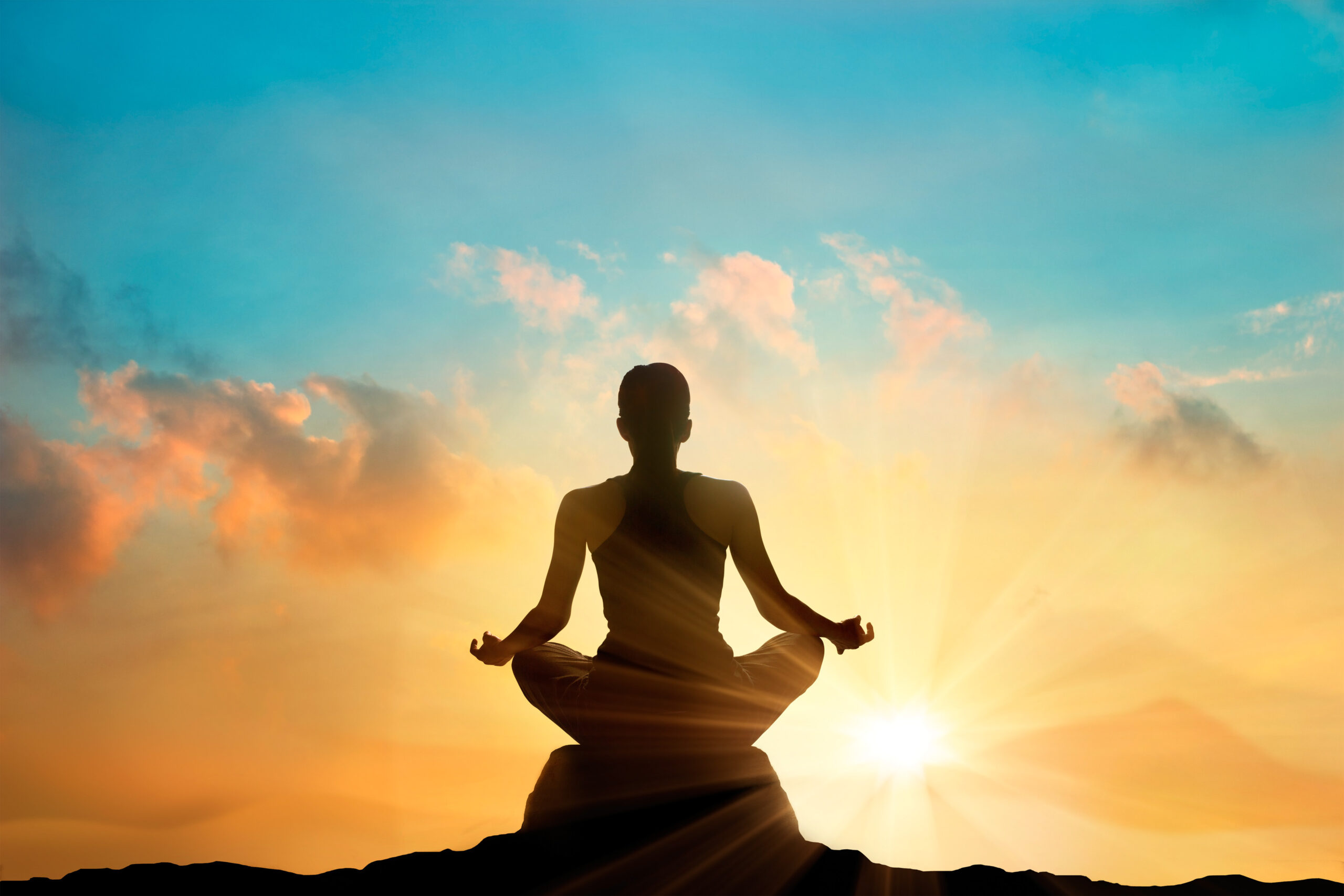 Why Your Spleen Wants You to Meditate